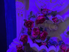 -雪灵魔法世界SHELLY’S TAROT(大良桂畔里店)