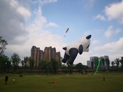 -府河摄影公园