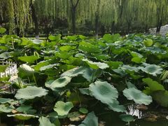 -唐山抗震纪念碑广场