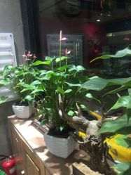 -木北护肤造型
