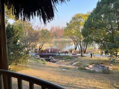 -宁波儿童公园(鄞州区)