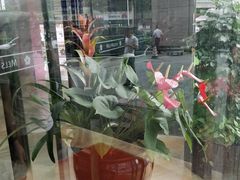 -东莞虎门美思威尔顿酒店