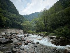 -西岭雪山大飞水景区