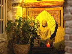 -叶叶菩提(太原别墅店)