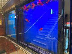 -午月海鲜烧烤酒店(不老街店)