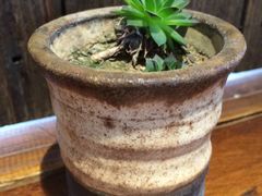 -阿木舂记·特色小吃(平江路店)