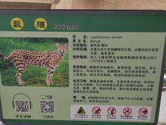 -石家庄市动物园