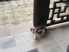-苏州文旅花间堂·探花府酒店