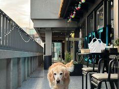 -背包十年青年旅舍(成都太古里春熙路店)
