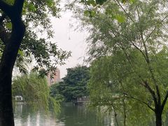 -东山湖公园