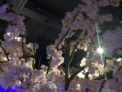 -蜜桃餐厅·江浙融合菜(荟聚购物中心店)