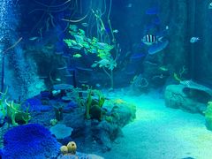 -沈阳海洋探索中心