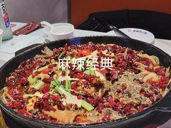 -老板恋上鱼(高新万达店)