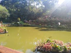 -深圳仙湖植物园-停车场