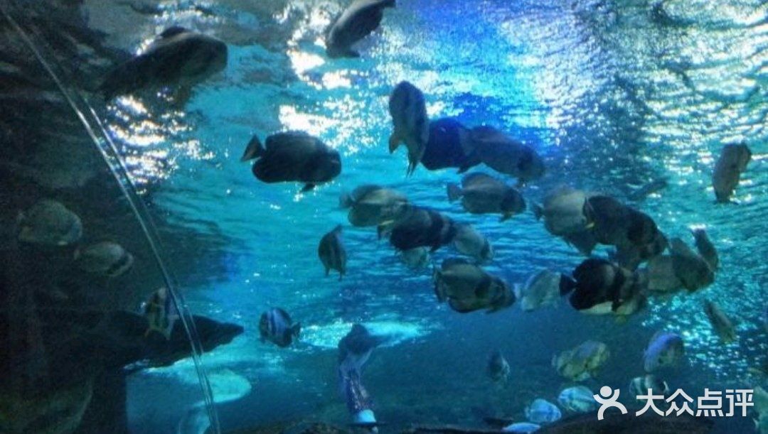 小众运动～体验海底世界💦