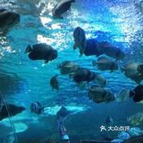 小众运动～体验海底世界💦