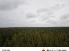 -黄海国家森林公园