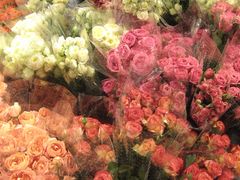 -循礼门鲜花花市(武汉循礼门店)