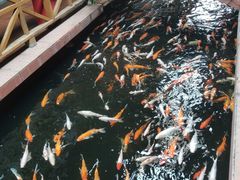 -侠成水上农庄(工业大道店)