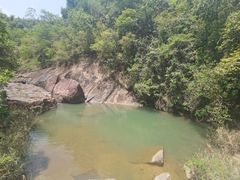 -广州白江湖森林公园