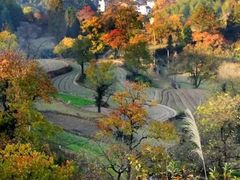 -塔川景区