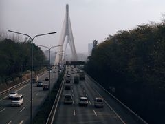 -大渡口区义渡公园