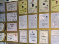 -博特宠物医院24h犬猫全科.骨科·异宠
