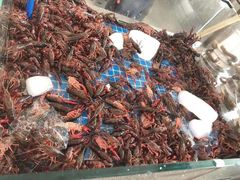 -半岛听涛蒸汽海鲜自助(K11店)