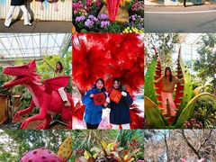-沈阳植物园