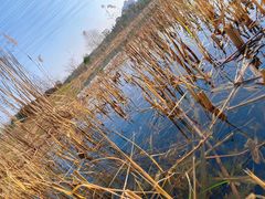 -昆山城市生态森林公园