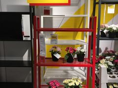 -宜家家居(哈尔滨商场店)