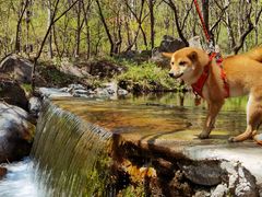 -玉渡山自然风景区