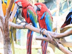 -杭州野生动物世界