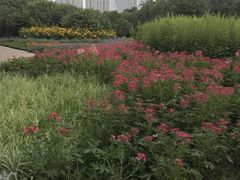 -长春公园(普阳街道)