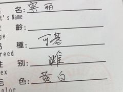 -申普宠物医院(总院)