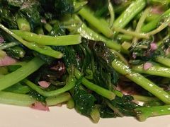 -鸽子窝(宋庄店)
