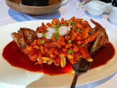 松鼠桂鱼-玫瑰厅上海菜(兴国路店)