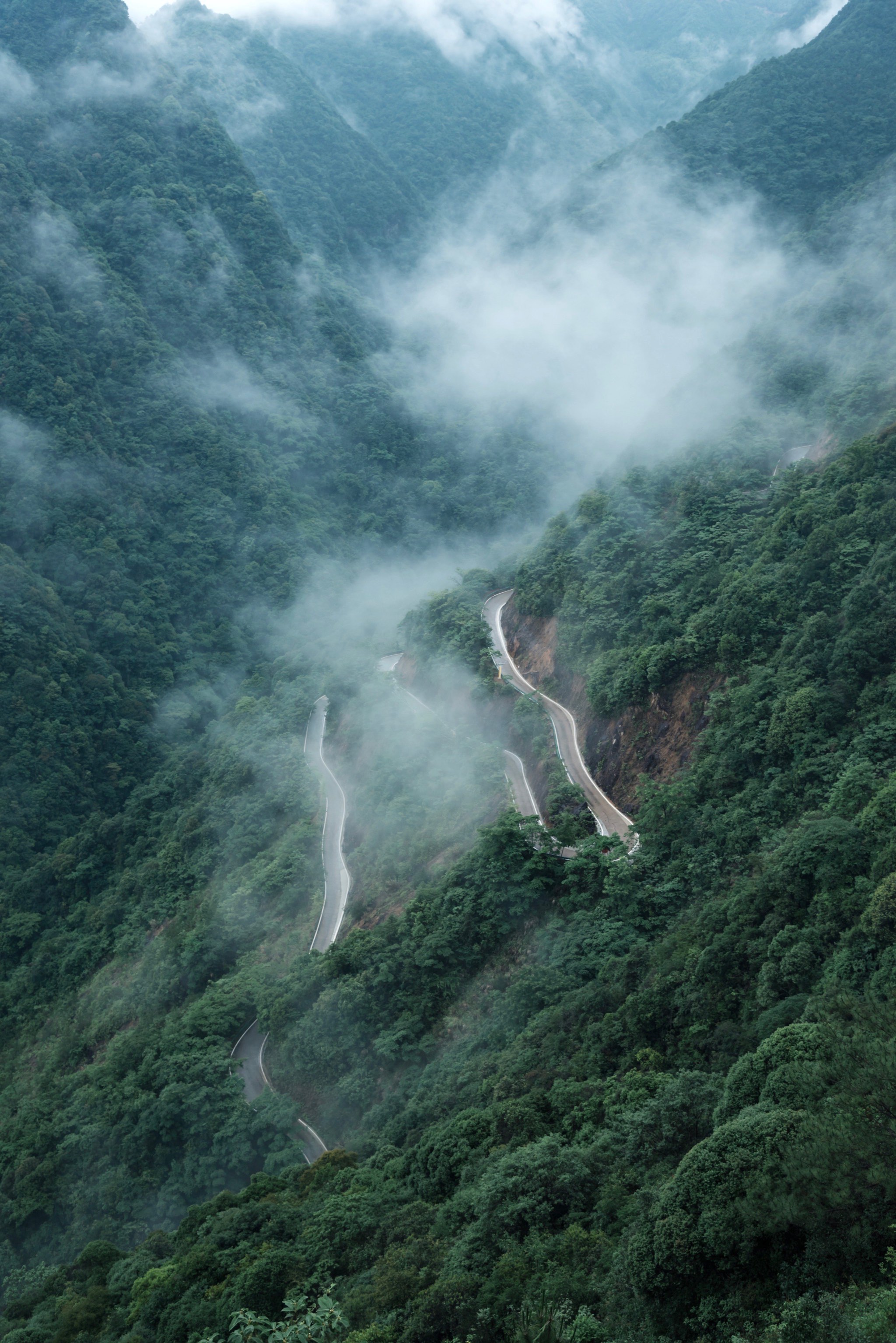 绍兴最美自驾公路图片