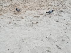 -海云台海滩