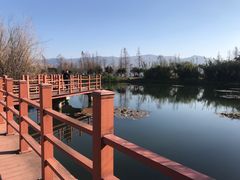 -才村湿地公园