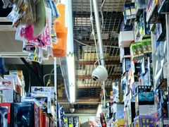 -鸿兴玩具