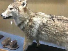 -陕西自然博物馆