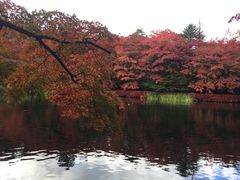 -轻井泽王子购物广场