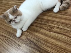 -非同凡相照相馆(咸水沽店)