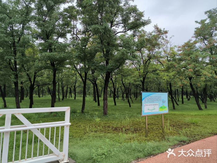 官港森林公园图片