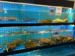 水产区-琼大师东方烤乳猪(亚特兰蒂斯店)