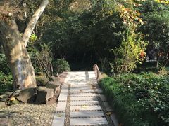 -杭州黄龙洞