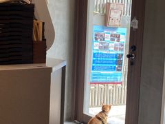 -Again Coffee Roaster(香蜜湖店)