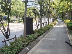 -新江湾城公园