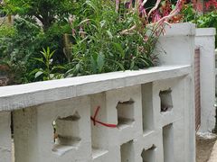 -南丫岛